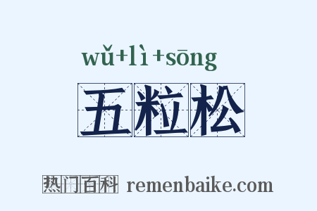 五粒松是什么意思的图片